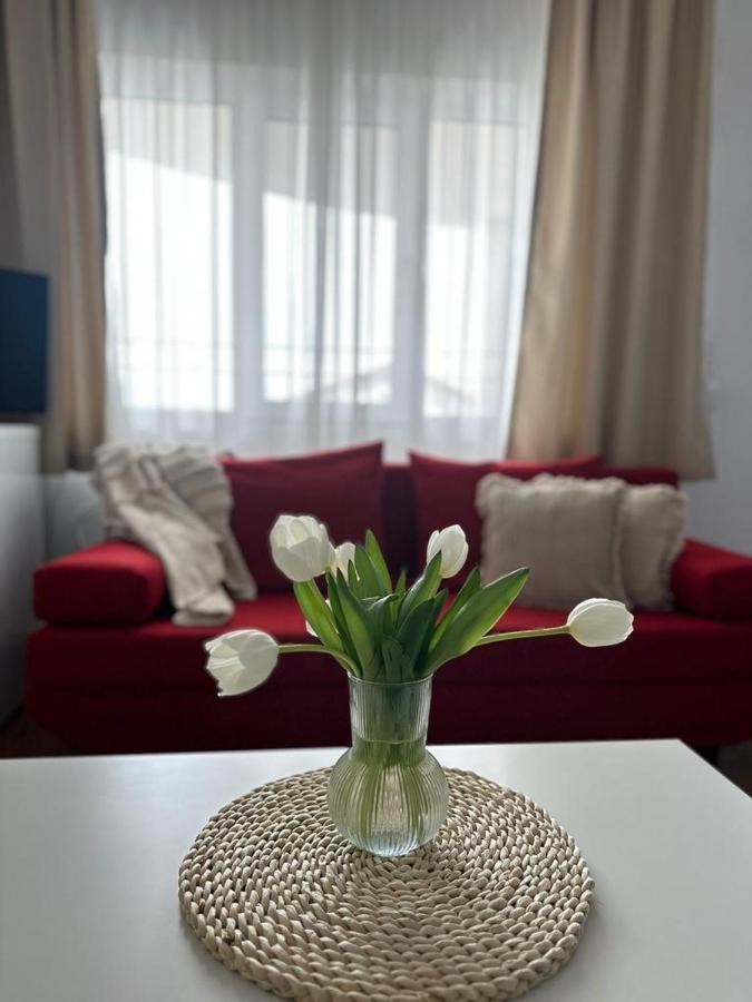 Vila Primavera Vama Veche Exteriör bild